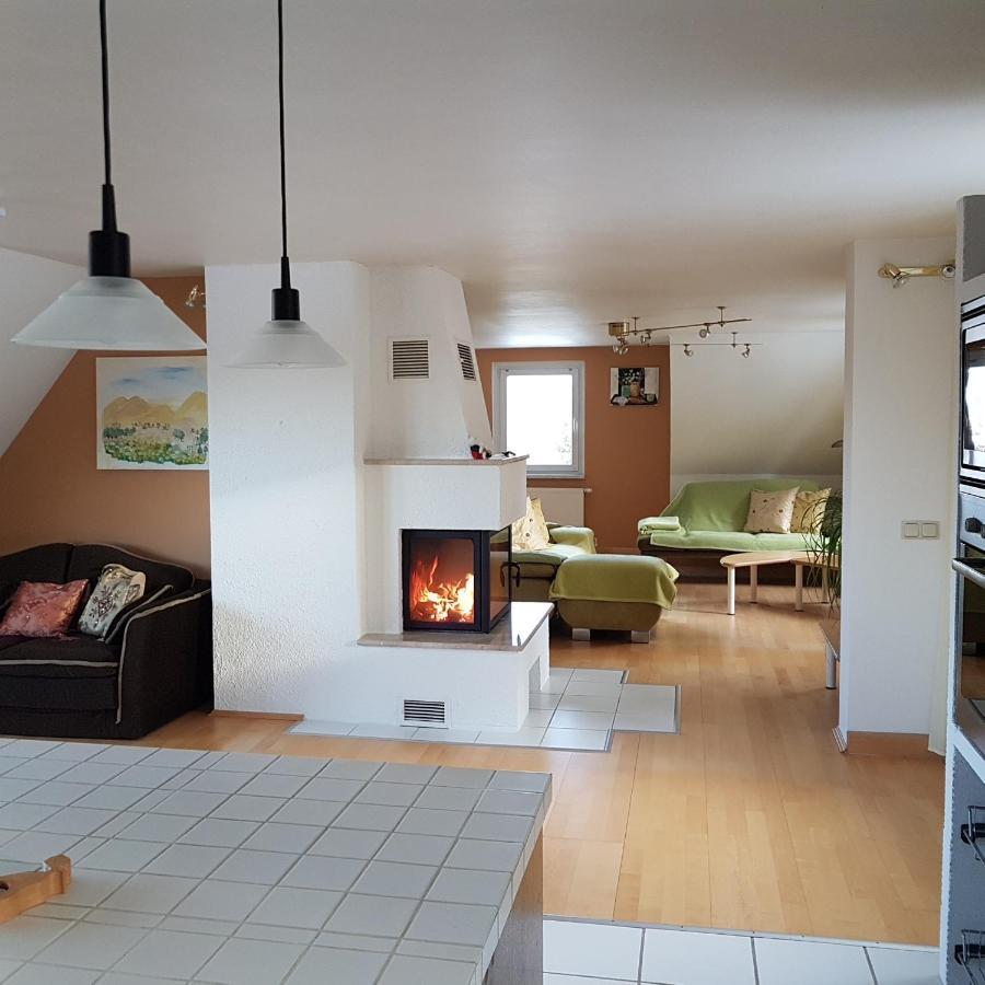 Ferienwohnung Goldene Hoehe Rechenberg-Bienenmühle エクステリア 写真
